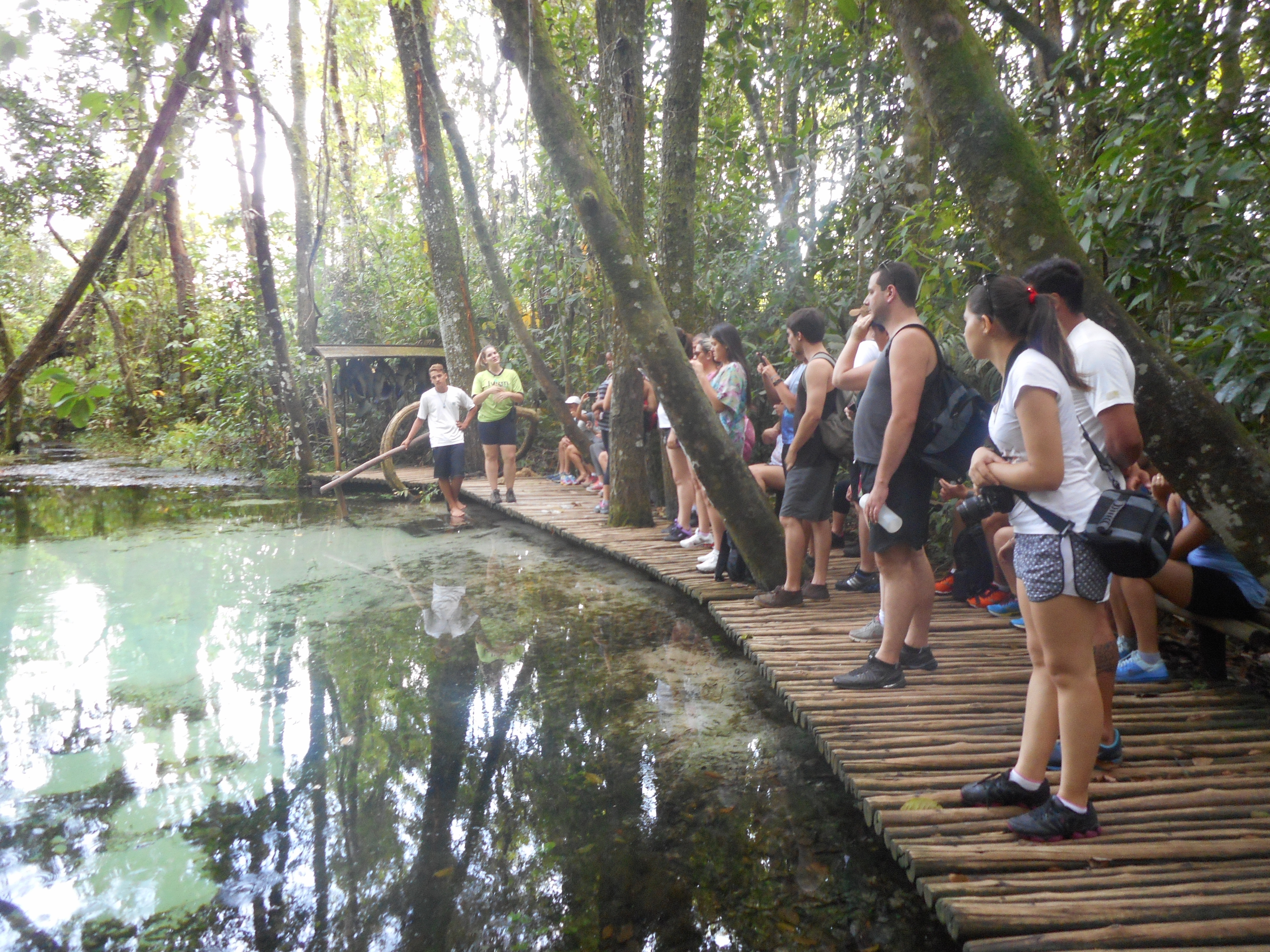 nascente da areia, criando uma espécie de areia movediça. - Picture of Areia  que Canta, Brotas - Tripadvisor